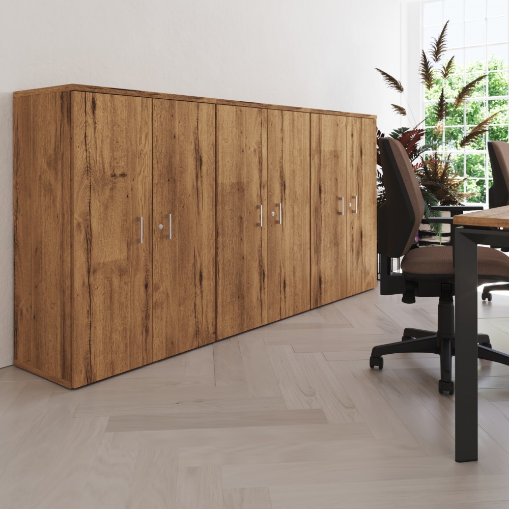 Armoire Chronos Fermé en Bureau Professionnel
