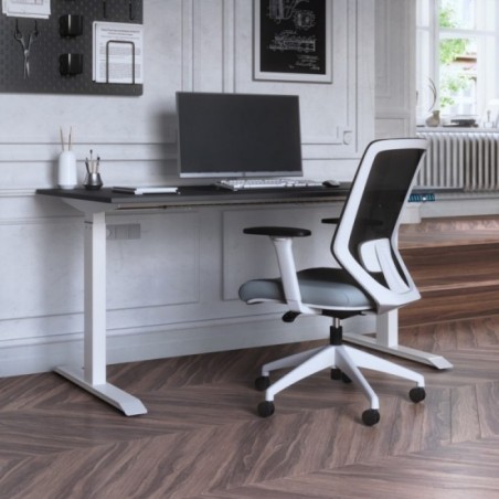 Elevia in kantoorruimte