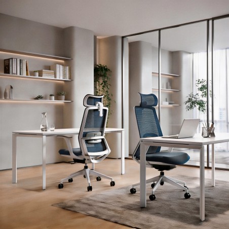 Bureaustoel Emma Plus bij bureau