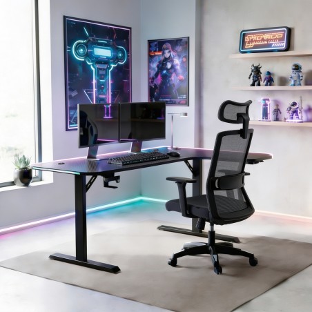 Complete gamingsetup met Nexa L