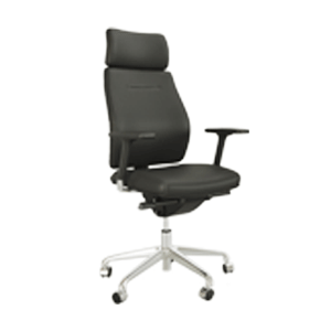Directiestoelen